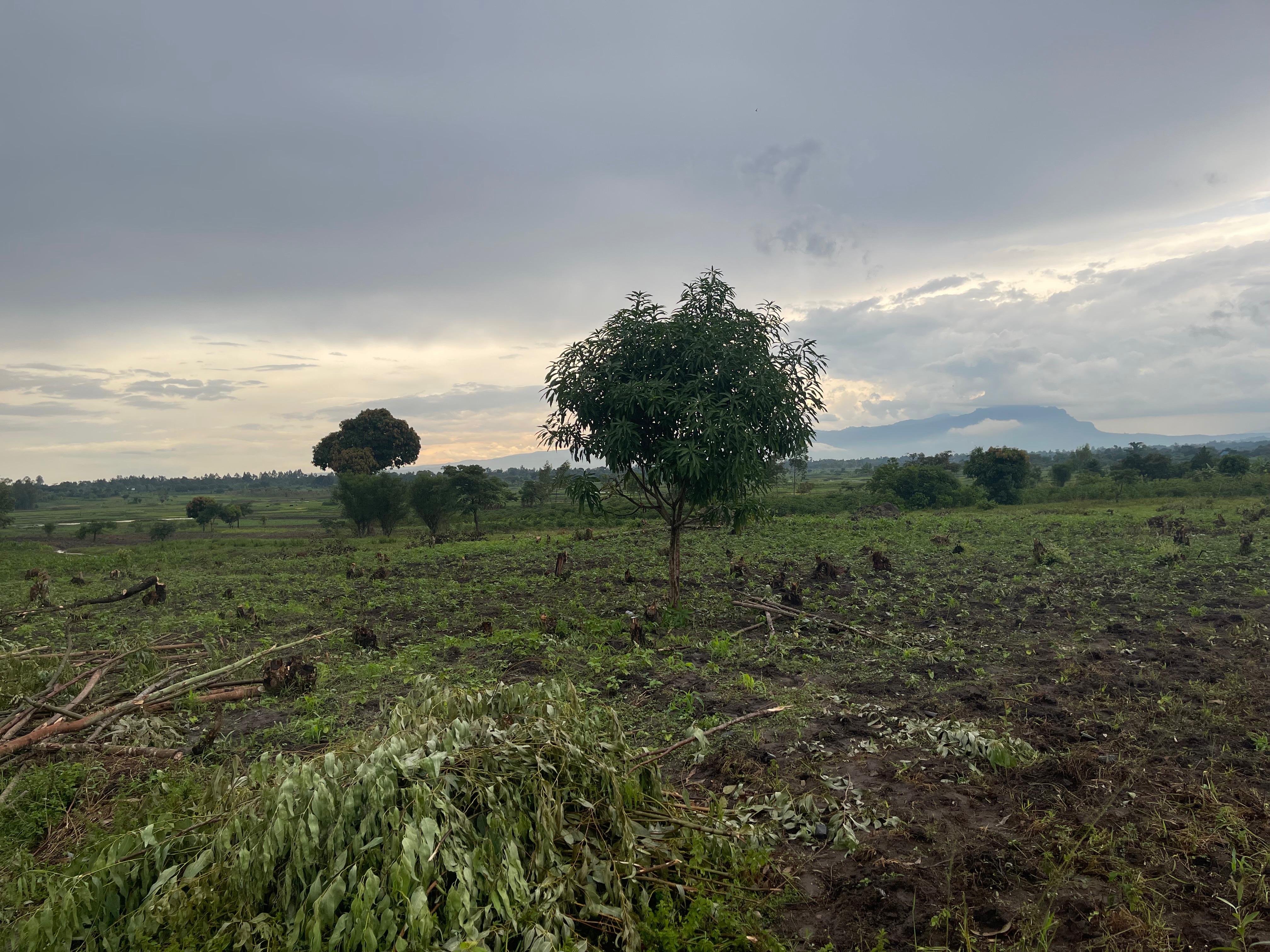 Munyona Foundation Gallery Image 66